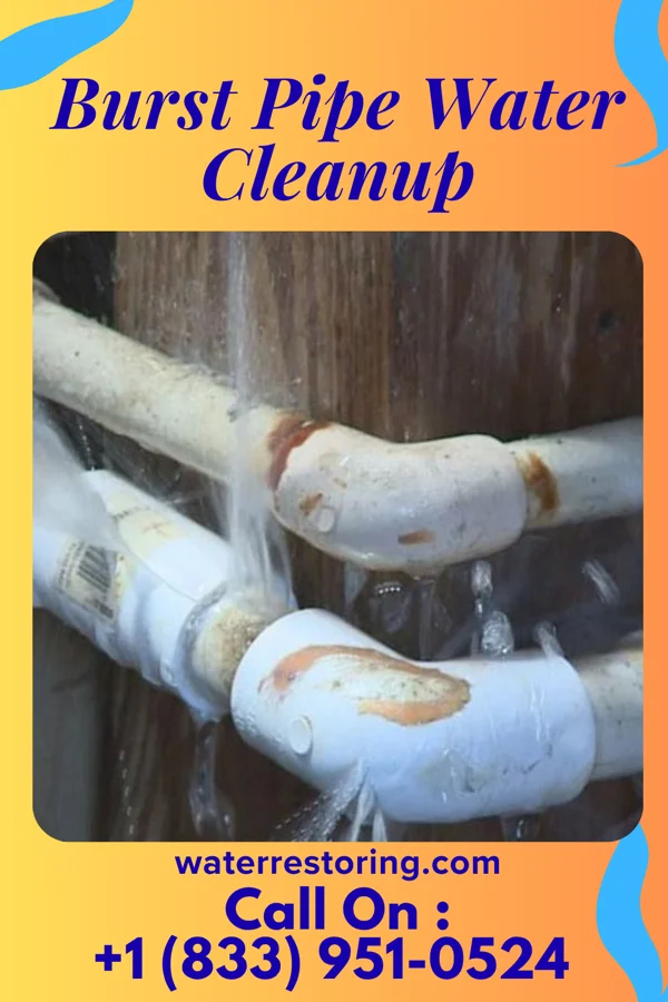 Burst Pipe Water Cleanup in Baraboo, WI