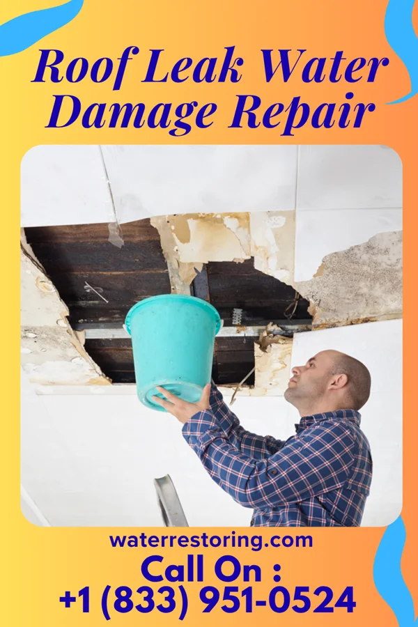 Roof Leak Water Damage Repair in Baraboo, WI