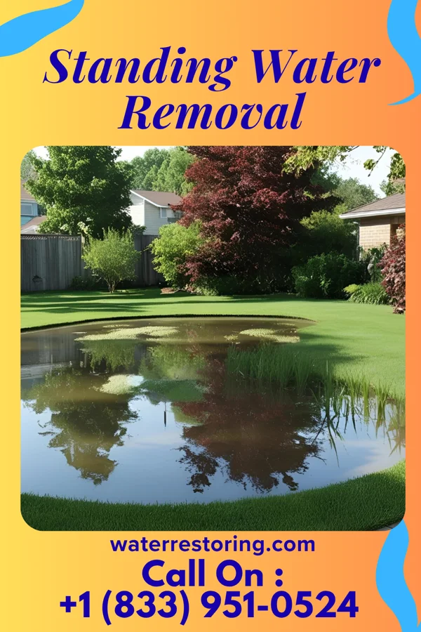 Standing Water Removal in Baraboo, WI